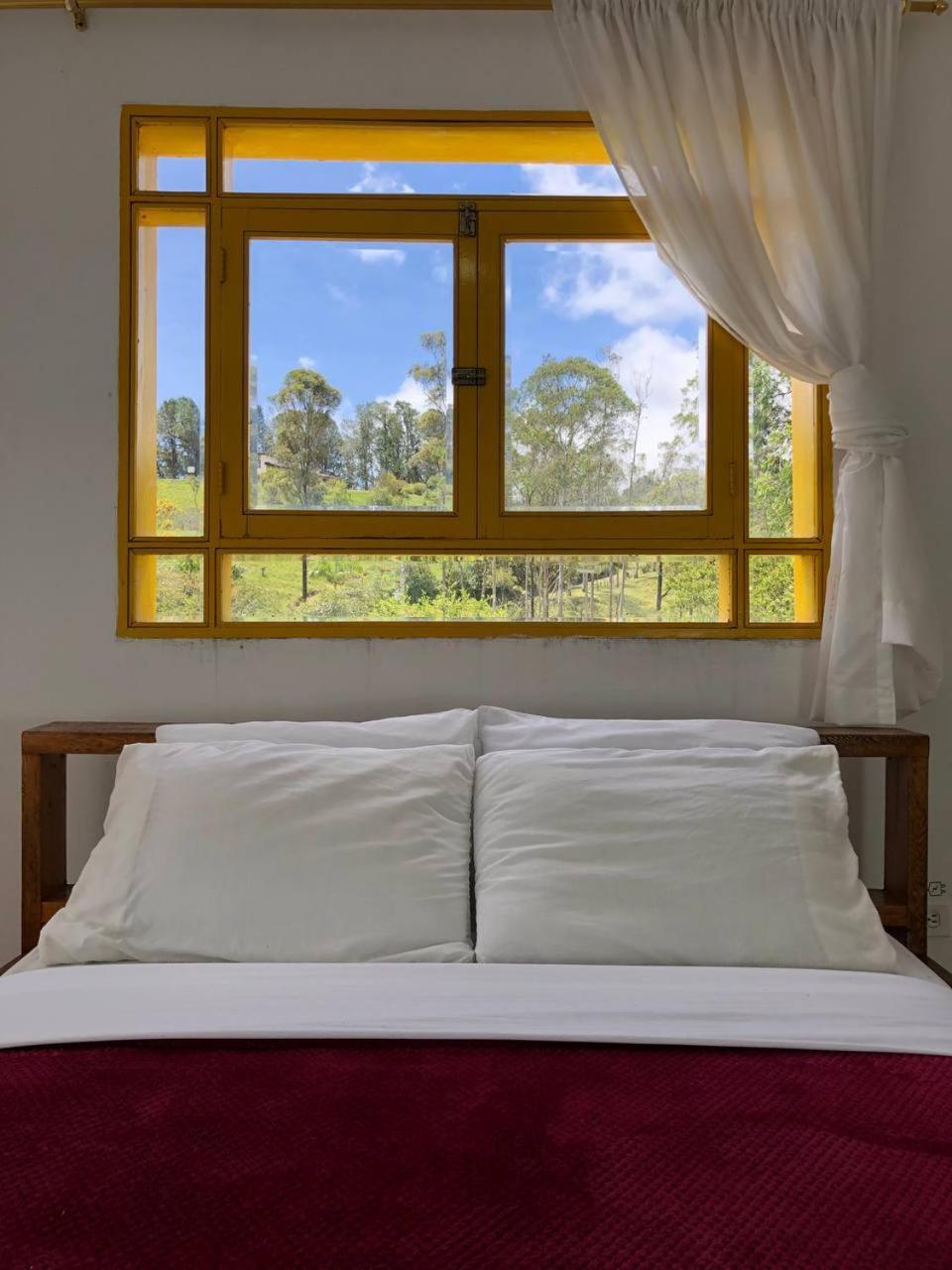 Alegria Hostel Boutique Guatapé 客房 照片